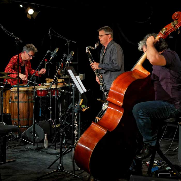 Cabinet de curiosités